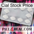 Cial Stock Price 16